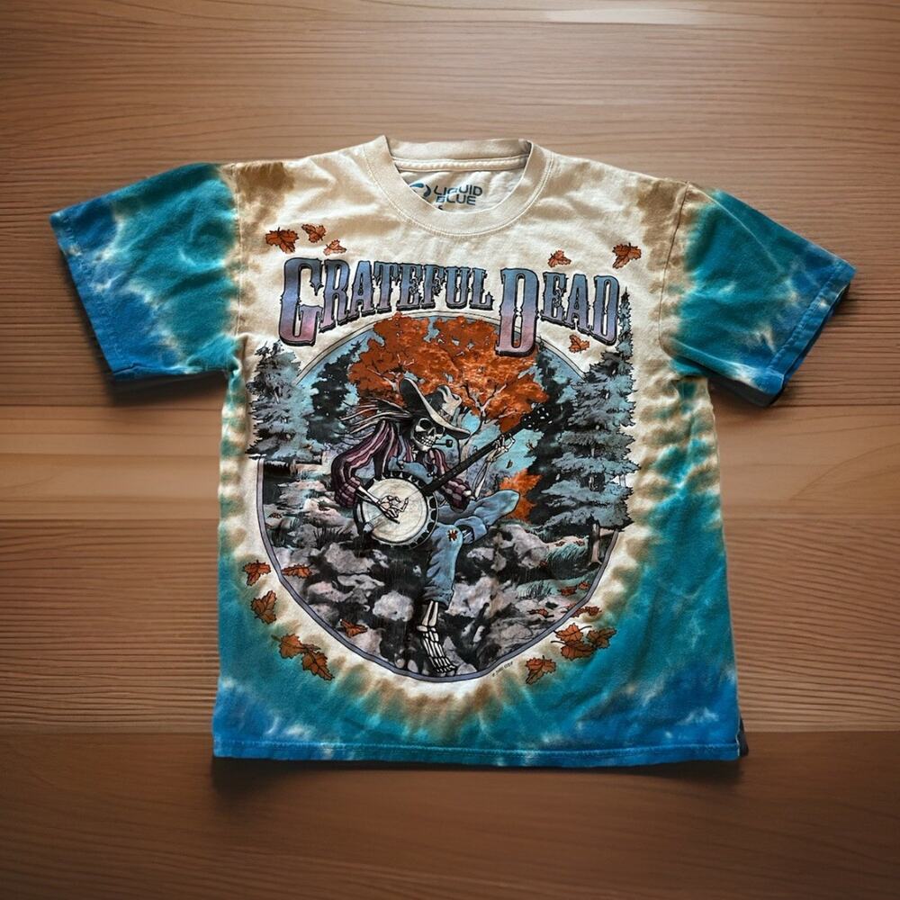 VTG Grateful Dead 1994 Banjo Band Y2K 2000 Liquid Blue Tie Dye T-shirt S